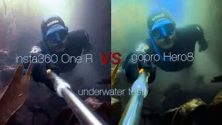 Review: insta360 One R 1 inch vs gopro hero8 underwater