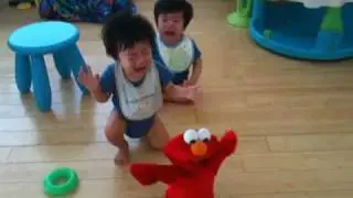 Twin babies crying and screaming when Elmo shakes!