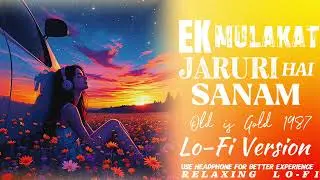 Ek Mulakat Zaruri Hai Sanam ❤️ | Romantic Love Song | Heart Touching Melody | Full Video