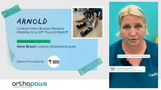 Arnold&rsquo;s Journey: Custom Wrist Braces for a 227lb Mastiff 🐾💪 | Non-Surgical Mobility Solution