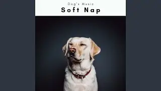 Doggie Chill Sounds for Instant Dog Nap