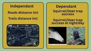 Group C4 Camera Trap Project Lightning Talk
