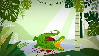 Xray #sustainable fashion #fashion film #cwnu fashion #animal rights
