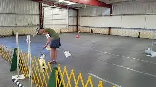Molly AKC Rally Obedience 9232017