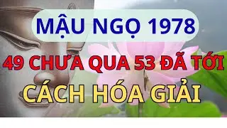 Mậu Ngọ 1978: Trước Thềm Tuổi 49 Gặp Hạn Gì? Xem Ngay Để Hóa Giải