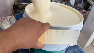 Apex shyne wall paint | 7979 | apricot illusion colour making | mixing | best interior colour mix