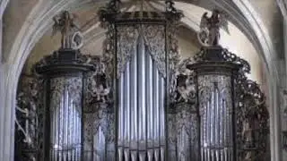 Sauerorgel (1916) der Evang. Stadtpfarrkiche in Hermannstadt Sibiu