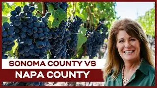 Sonoma County Vs Napa County [BATTLE OF NORCAL WINE COUNTRY] Living in Sonoma County, CA