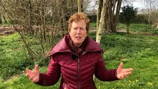 This Planting Season Is Late (UK, 2021)