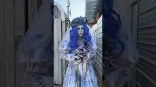 Emily Corpse Bride Cosplay 🦋💙 #halloween #cosplay #timburton #corpsebride