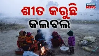 Cold Wave Hits Hard: Dense Fog Disrupts Night Travel | Update From Koraput