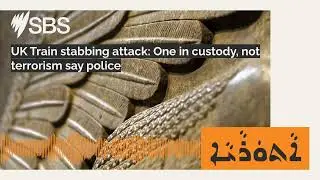 UK Train stabbing attack: One in custody, not terrorism say police | SBS Assyrian