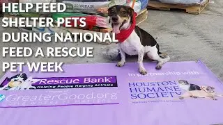 Help Feed Shelter Pets During National Feed A Rescue Pet Week