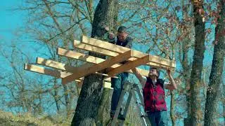 Corowai, caba&ntilde;as para &aacute;rbol.