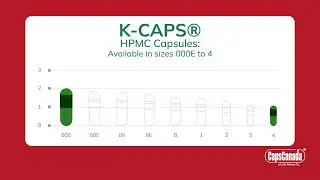 Explore Our Wide Range of Capsule Sizes