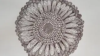 Sunflower Drawing Tutorial!        ASMR ART, Relaxing, Coloring for Adults