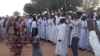 الروعة هنا علي ايقاع الطنبور الكردفاني