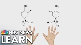 Mirror Molecule: Carvone
