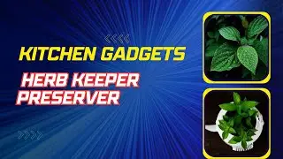 Herbs Preserver/keep herbs fresh in the fridge using herb keeper/ #youtubeshorts #gadgets #amazon