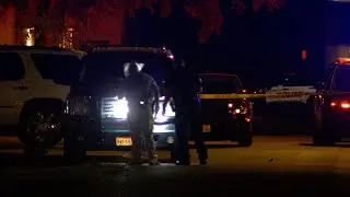 Woman shot while driving on Southeast Side, police say