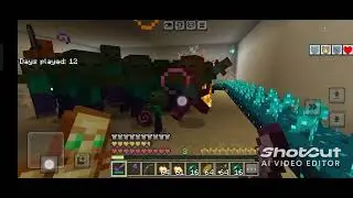 I killed 100 Zombies 