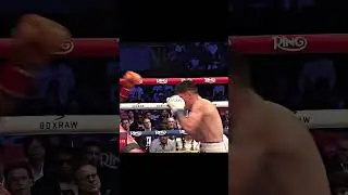 Почему элитные боксёры не могут проиграть