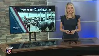 State of Dairy Industry: The Future of the Dairy