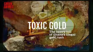 🔴 Toxic Gold: the heavy toll of Ghana's illegal gold rush