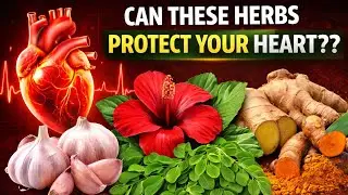 CAN NATURE SUPPORT YOUR HEART?