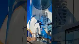 🛳Sail & Fly🪂 #royalcaribbean #ifly #royalcaribbeancruises #shorts #rccl