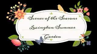 Scenes of the Seasons - Lexington Summer Gardens
