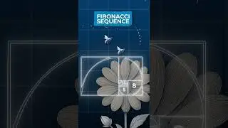 The Sacred Geometry