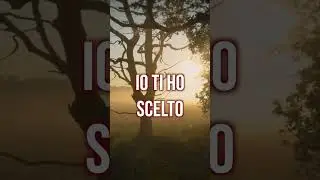 IO TI HO SCELTO