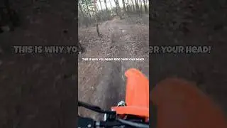 I Hit A Tree Because I Was Riding Over My Head!