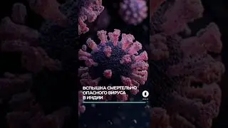 Вспышка заболеваний в Индии. Смертельно опасный вирус Нипах вернулся. #вирус #индия #эпидемия