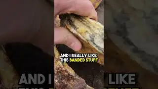 Finding Gold Ore with Sulfides: A Prospector's Guide