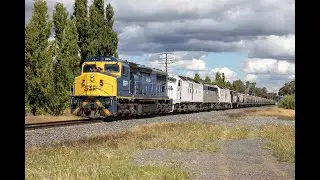 C505 leads 7MC5 SSR Grain in Southern NSW - 01/04/2023
