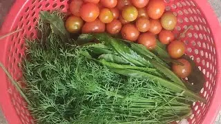 Country life: I miss boiled vegetables and potatoes and sour fish soup with eggplant
