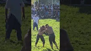 Suluova Yağlı Pehlivan G&uuml;reşleri 161