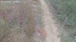 Marina Loop - Switchgrass MTB Trail (Wilson Lake, Kan.)