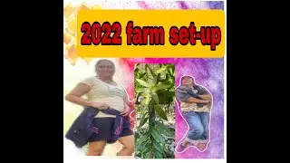 Integrated farm set-up which includes vanilla planifolia, vanilla tahitensis, pineapple,black pepper