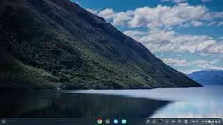Setting up linux file access on Chromebooks