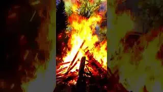 огонь... завораживает