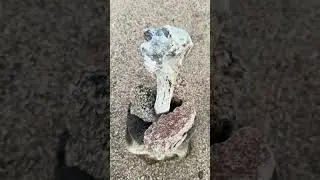 Slinging Accuracy