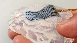 'Soft' hydrogel electrodes that adapt to living tissue, using graphene