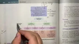 COPD 4, pathophysiology, clinical features, diagnosis and treatment
