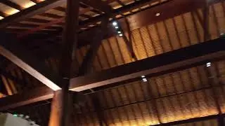 POCO F8 Pro, Low Light Video Sample (Panning)