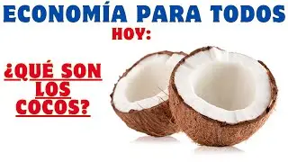 APRENDE EN 5 MINUTOS: ¿QUÉ SON LOS COCOs?
