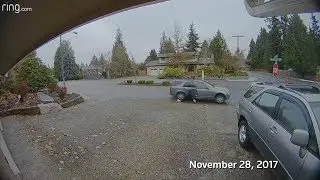 Nanny tackles female thief in US