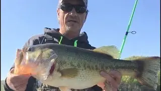 Elk Fork Lake New Personal best largemouth! 7 lbs 9 oz! 25&rdquo; long! 4/27/19